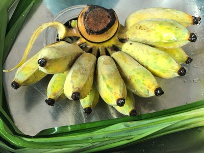 วิธีทำ กล้วยทับน้ำกะทิ