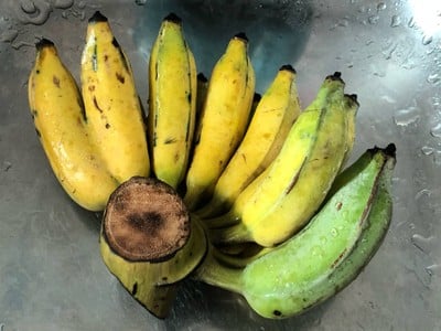 วิธีทำ กล้วยบวชชี
